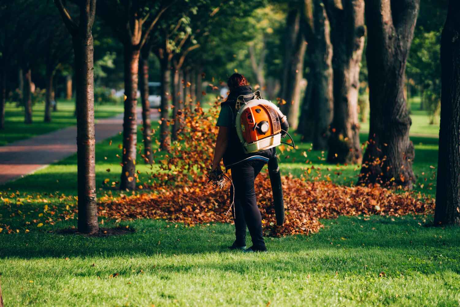  San Carlos Park, FL TreeGuard Tree Service Pros